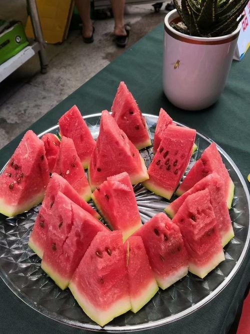 吃瓜网51官网版 吃瓜爆料短剧吃瓜爆料大赛每日聚集地